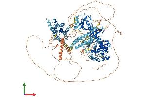 AlphaFold protein structure predicition of Human Recombinant BCR Protein, UniprotID P11274