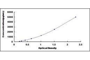 Growth Hormone 2 (GH2) ELISA Kit
