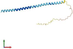 AlphaFold protein structure predicition of Human Recombinant SNCA Protein, UniprotID P37840