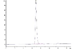 The purity of Human CD21 is greater than 95 % as determined by SEC-HPLC.