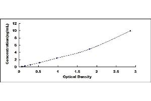 Typical standard curve (WNT10B Kit ELISA)