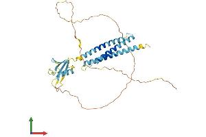 AlphaFold protein structure predicition of Human Recombinant BAG1 Protein, UniprotID Q99933