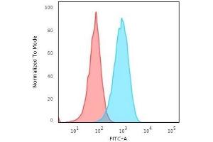 Flow Cytometric Analysis of Raji cells.