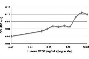 Serial dilutions of human CTGF, starting at 10 ug/mL, were added to HUVECs cultured without EGF. (CTGF Protéine)
