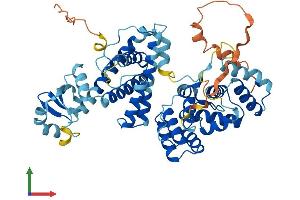 AlphaFold protein structure predicition of Human Recombinant PRIM2 Protein, UniprotID P49643