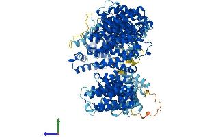 AlphaFold protein structure predicition of Human Recombinant XPO4 Protein, UniprotID Q9C0E2