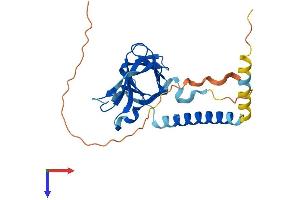 AlphaFold protein structure predicition of Mouse Recombinant Oip5 Protein, UniprotID A2AQ14