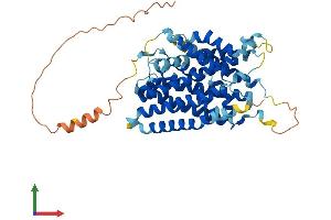 AlphaFold protein structure predicition of Mouse Recombinant Slc38a1 Protein, UniprotID Q8K2P7