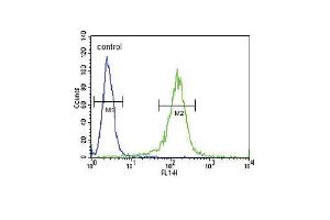 RDH10 Antibody (Center) (ABIN650935 and ABIN2840001) flow cytometric analysis of NCI- cells (right histogram) compared to a negative control cell (left histogram). (RDH10 anticorps  (AA 106-135))