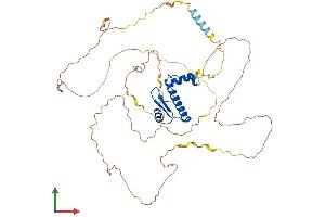 AlphaFold protein structure predicition of Mouse Recombinant Mef2c Protein, UniprotID Q8CFN5