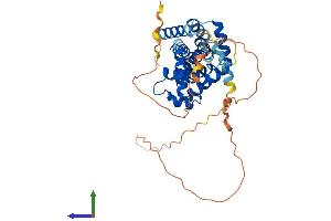 AlphaFold protein structure predicition of Human Recombinant CCNI Protein, UniprotID Q14094