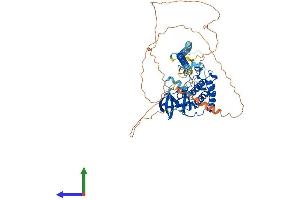 AlphaFold protein structure predicition of Human Recombinant MAP3K7 Protein, UniprotID O43318