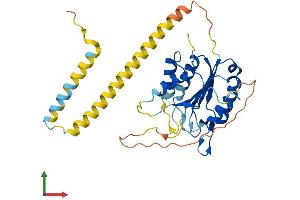 AlphaFold protein structure predicition of Human Recombinant CASP12 Protein, UniprotID Q6UXS9