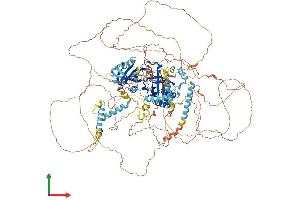 AlphaFold protein structure predicition of Mouse Recombinant Per2 Protein, UniprotID O54943
