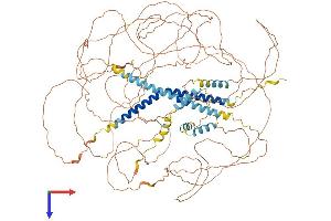Mastermind-Like 1 (MAML1) (AA 1-1020) protein (His tag)