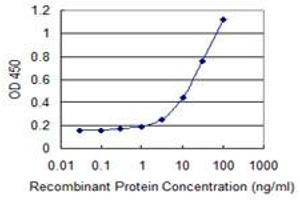 Detection limit for recombinant GST tagged NOVA1 is 1 ng/ml as a capture antibody. (NOVA1 anticorps  (AA 1-507))