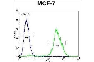 PCA Antibody (C-term) (ABIN655112 and ABIN2844743) flow cytometric analysis of MCF-7 cells (right histogram) compared to a negative control cell (left histogram). (PMPCA anticorps  (C-Term))