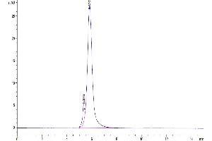 The purity of Human CD24 is greater than 95 % as determined by SEC-HPLC.