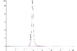 The purity of Human CD24 is greater than 95 % as determined by SEC-HPLC. (CD24 Protein (AA 27-59) (Llama Fc Tag))