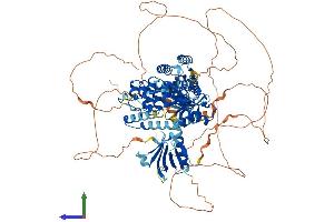 AlphaFold protein structure predicition of Mouse Recombinant Agap3 Protein, UniprotID Q8VHH5