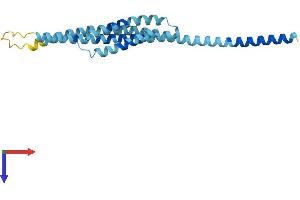 AlphaFold protein structure predicition of Mouse Recombinant Gosr2 Protein, UniprotID O35166