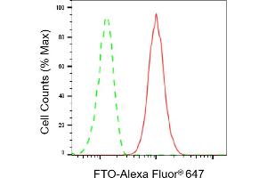 Flow cytometric analysis of FTO expression in HepG2 cells using FTO antibody (ABIN7798580), 1:2,000). (Recombinant FTO anticorps)
