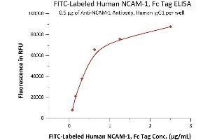 Immobilized A-1 Antibody, Human IgG1 at 5 μg/mL (100 μL/well) can bind Fed Human NCAM-1, Fc Tag (ABIN6992429) with a linear range of 0.