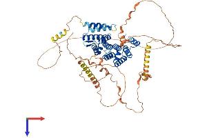 AlphaFold protein structure predicition of Human Recombinant CTIF Protein, UniprotID O43310
