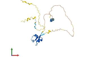 AlphaFold protein structure predicition of Mouse Recombinant Lysmd1 Protein, UniprotID Q9D0E3