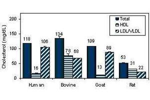 Biochemical Assay (BCA) image for AF HDL and LDL/VLDL Assay Kit (ABIN1000283) (AF HDL and LDL/VLDL Assay Kit)