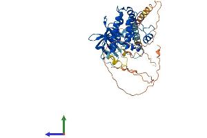 AlphaFold protein structure predicition of Human Recombinant CAMK4 Protein, UniprotID Q16566