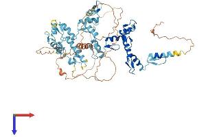 AlphaFold protein structure predicition of Human Recombinant ZNF792 Protein, UniprotID Q3KQV3