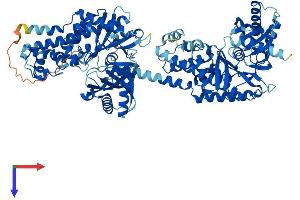 AlphaFold protein structure predicition of Human Recombinant HK3 Protein, UniprotID P52790