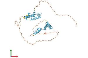 AlphaFold protein structure predicition of Human Recombinant ZNF396 Protein, UniprotID Q96N95