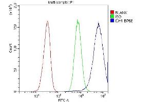 Flow Cytometry analysis of HepG2 cells using anti-IDH1 antibody (ABIN3043855).