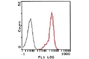 Flow cytometric analysis of HL-60 cells using FPR2 using FPR2 polyclonal antibody  (red) compared to a nonspecific negative control antibody (black). (FPR2 anticorps  (2nd Extracellular Loop))