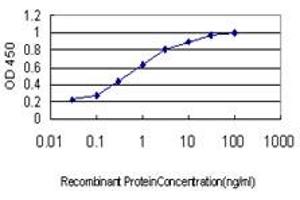 Detection limit for recombinant GST tagged RALBP1 is approximately 0. (RALBP1 anticorps  (AA 1-655))