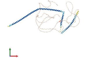 AlphaFold protein structure predicition of Human Recombinant SIX6OS1 Protein, UniprotID Q8N1H7