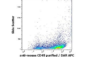 Flow cytometry surface staining pattern of murine splenocytes stained using anti-mouse CD45 (EM-05) purified antibody (concentration in sample 1.