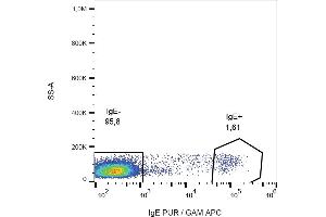 Flow cytometry (surface staining) of IgE in human peripheral blood lymphocytes with anti-IgE (BE5) purified, GAM-APC. (Souris anti-Humain IgE Anticorps)