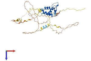 AlphaFold protein structure predicition of Human Recombinant FOXI1 Protein, UniprotID Q12951