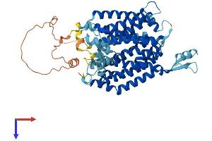 AlphaFold protein structure predicition of Mouse Recombinant Slc33a1 Protein, UniprotID Q99J27