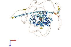 AlphaFold protein structure predicition of Human Recombinant MINK1 Protein, UniprotID Q8N4C8