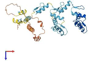 AlphaFold protein structure predicition of Human Recombinant ZNF684 Protein, UniprotID Q5T5D7