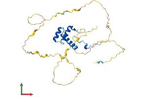 AlphaFold protein structure predicition of Mouse Recombinant Hoxa4 Protein, UniprotID P06798