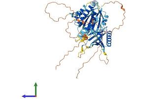 AlphaFold protein structure predicition of Mouse Recombinant M1ap Protein, UniprotID Q9Z0E1
