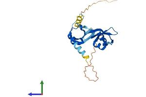 AlphaFold protein structure predicition of Mouse Recombinant Cbx5 Protein, UniprotID Q61686