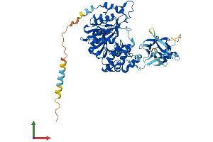 AlphaFold protein structure predicition of Mouse Recombinant Galnt14 Protein, UniprotID Q8BVG5