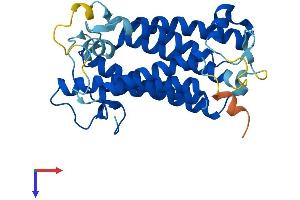 AlphaFold protein structure predicition of Human Recombinant SRD5A3 Protein, UniprotID Q9H8P0