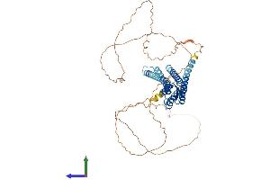 AlphaFold protein structure predicition of Mouse Recombinant Gja10 Protein, UniprotID Q9WUS4